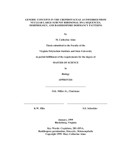 generic concepts in the crepidotaceae as inferred from nuclear large