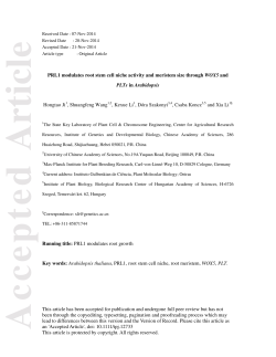 PRL1 modulates root stem cell niche activity and meristem size