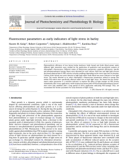 Fluorescence parameters as early indicators of light stress in barley