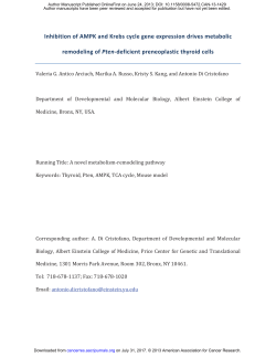Inhibition of AMPK and Krebs cycle gene