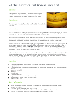 7.1.1 Plant Hormones- Fruit ripening  - SandyBiology1-2