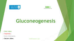 14-Gluconeogenesis TEAM4362016-11-17 08
