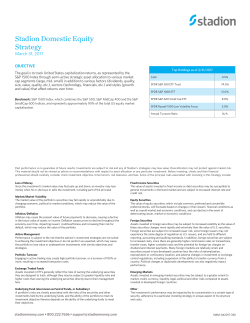 Stadion Domestic Equity Strategy