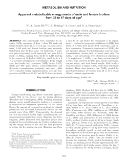 Apparent metabolizable energy needs of male and