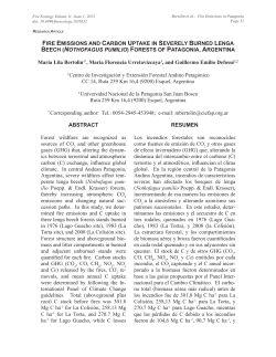 Fire emissions and carbon uptake in severely burned lenga beech