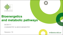 Bioenergetics and metabolic pathways