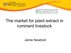 Role of plant extracts in ruminant production