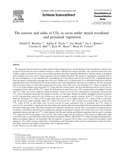 The sources and sinks of CO2 in caves under mixed woodland and