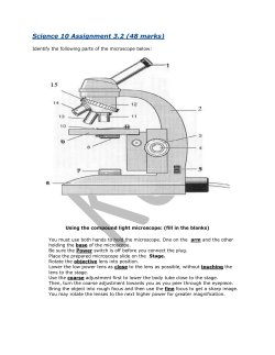 High power objective (40X)