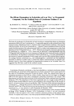 The 650 nm Chromophore in Escherichia coli is an