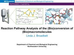 Reaction Pathway Analysis of the (Bio)conversion of (Bio - D-MAVT