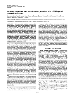 potassium channel - School of Biomedical Sciences