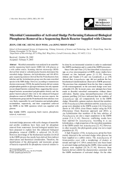 Microbial Communities of Activated Sludge Performing Enhanced