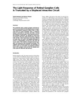The Light Response of Retinal Ganglion Cells Is Truncated by a