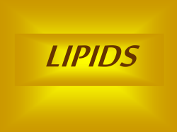 Lipids - Biology Junction