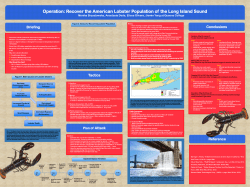 Poster &ndash; 4th Draft - Macaulay Honors College