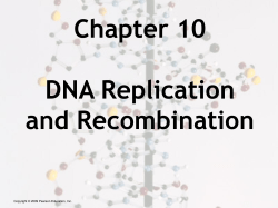 Section 10.1: DNA Is Reproduced by