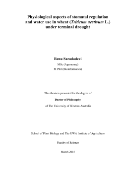 Physiological aspects of stomatal regulation and water use in wheat