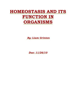 HOMEOSTASIS AND ITS FUNCTION IN ORGANISMS By