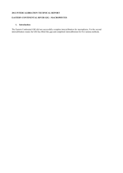 The Intercalibration Process [Draft]