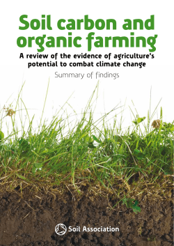 A Review of the Evidence of Agriculture`s