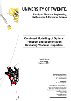 Combined Modelling of Optimal Transport and Segmentation
