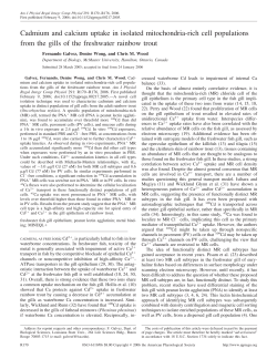 Cadmium and calcium uptake in isolated mitochondria