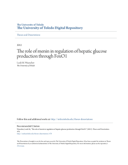 The role of menin in regulation of hepatic glucose production