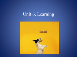 Learning-Classical Conditioning