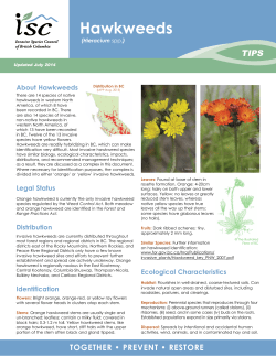 Hawkweeds - Invasive Species Council of BC