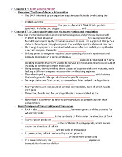 Concept 17.3: Eukaryotic cells modify RNA after transcription