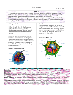 A cell is a self contained basic unit of all living organisms