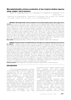 Microphytobenthic primary production of two tropical shallow