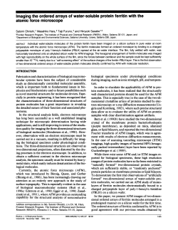 Imaging the ordered arrays ofwater-soluble protein ferritin with the
