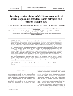 Feeding relationships in Mediterranean bathyal assemblages