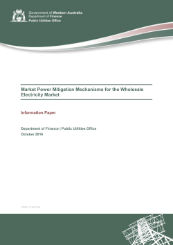 Market Power Mitigation Mechanisms for the Wholesale Electricity