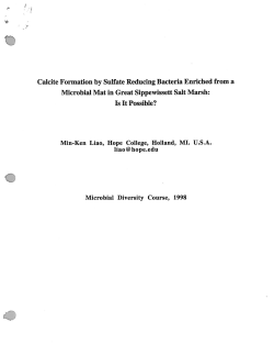 Liao, M. Calcite formation by sulfate reducing bacteria enriched from