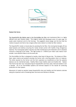 rydawi fish farms infographic