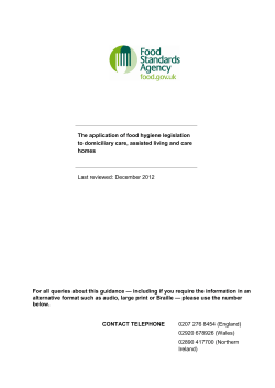 FSA Model Guidance Template