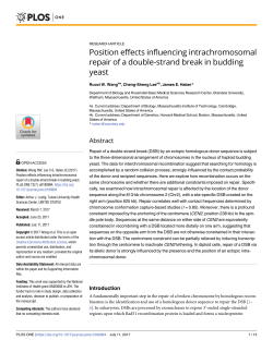 Position effects influencing intrachromosomal repair of a