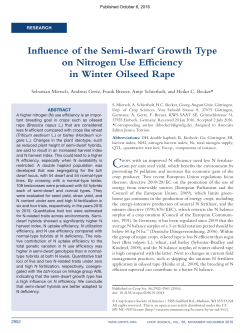 Influence of the Semi-dwarf Growth Type on Nitrogen Use Efficiency