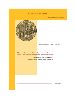 University of Heidelberg Discussion Paper Series