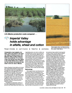 Imperial Valley holds advantage in alfalfa, wheat and cotton