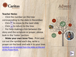 Jesse Tree - Caritas Australia