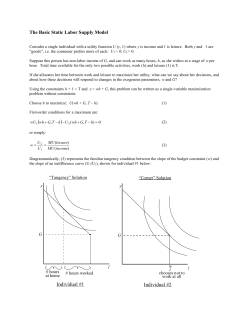 The Basic Static Labor Supply Model