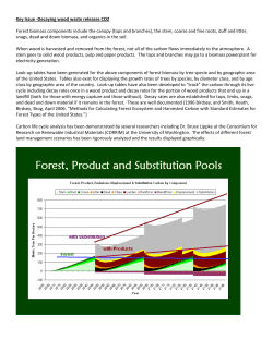 Key Issue -Decaying wood waste releases CO2