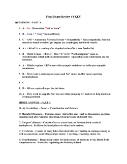 Final Exam Review#4 KEY - Mr. Lesiuk