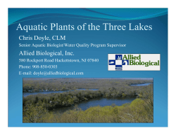Aquatic Plants of the Three Lakes
