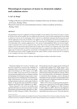 Physiological responses of maize to elemental sulphur and