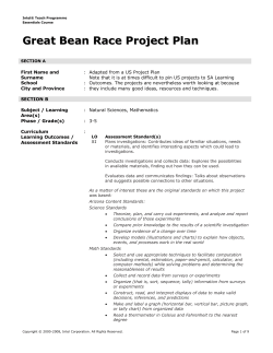 Great Bean Race Project Plan